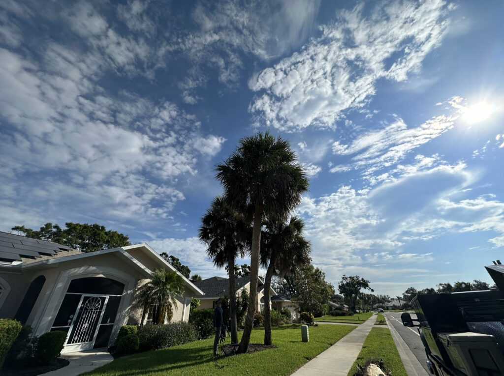 Routing Tree Maintenance