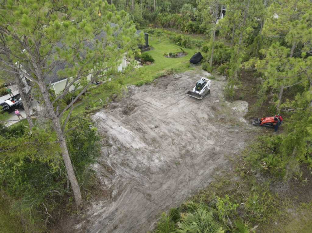 A Freshly Cleared Lot