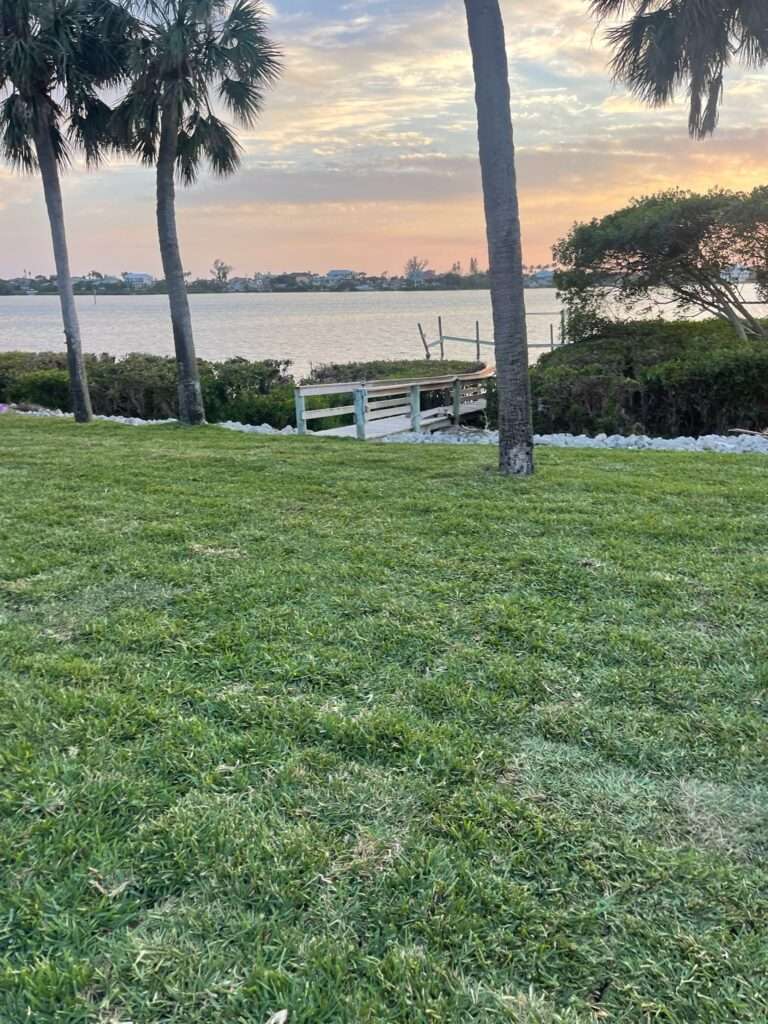 Fresh Sod